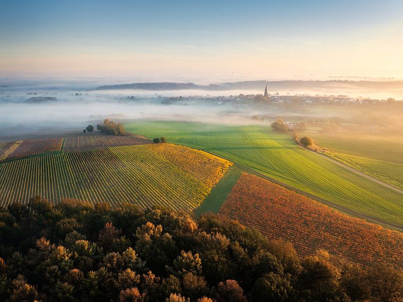 Aerial View of Foggy Sunrise Over Vineyards in South Limburg, Netherlands by Arda Acar