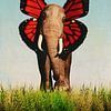 Un éléphant sympathique sur Jan Keteleer