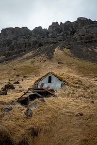 House covered in grass van Remco van Adrichem