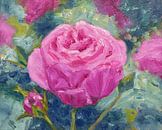 Roze Tuinroos van Maria Meester thumbnail