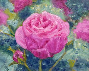 Roze Tuinroos van Maria Meester