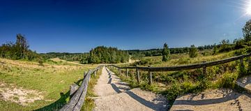 The stairs in nature reserve Kwintelooyen between Rhenen and Veenendaal by Jacques Jullens