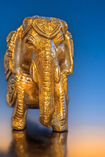 THE LUCKY ELEPHANT by Photoart-Naegele