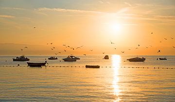 Zonsopgang Kroatië, Adriatische Zee met schommelende boten van SusaZoom