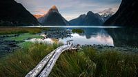 Milford Sound - Südinsel, Neuseeland von Martijn Smeets Miniaturansicht