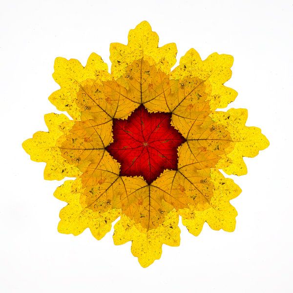 Kaleidoskop von Herbstblättern von Elbert-Jan Achterberg