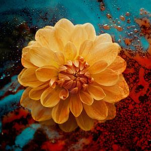 Dahlia  artwork van Saskia Schotanus