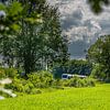 Bilthoven het Maisveld van Hans Lebbe