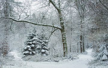 Sfeervol winter tafereel van René Jonkhout