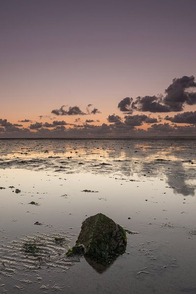 lonely rock at low tide von Harry Kors