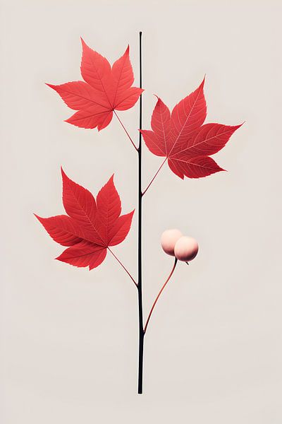 Maple leaves by haroulita