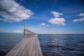 The bathtub scaffold by Tina Linssen