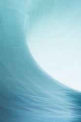 The wave