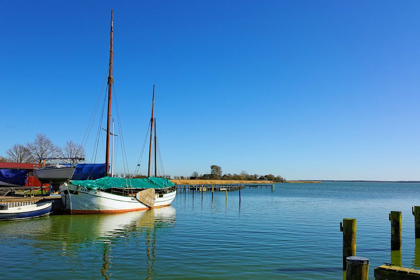 Fishland Marina by Gisela Scheffbuch