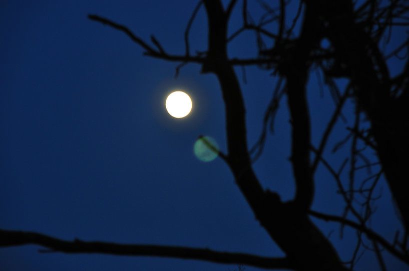 Volle maan von Fred van den Brink