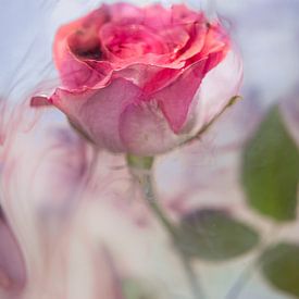 Roos onder water blauw-paars van Patricia van Kuik