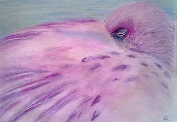 Flamingo Blues van Will Rouwen