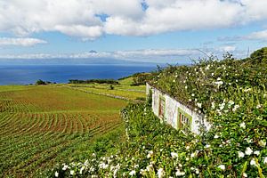 Açores - Maison fleurie et vue sur l'île sur Ralf Lehmann