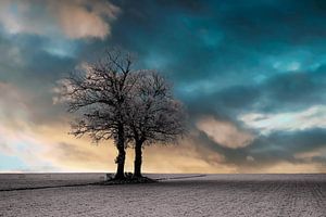 Sonnenaufgang in einer Winterlandschaft