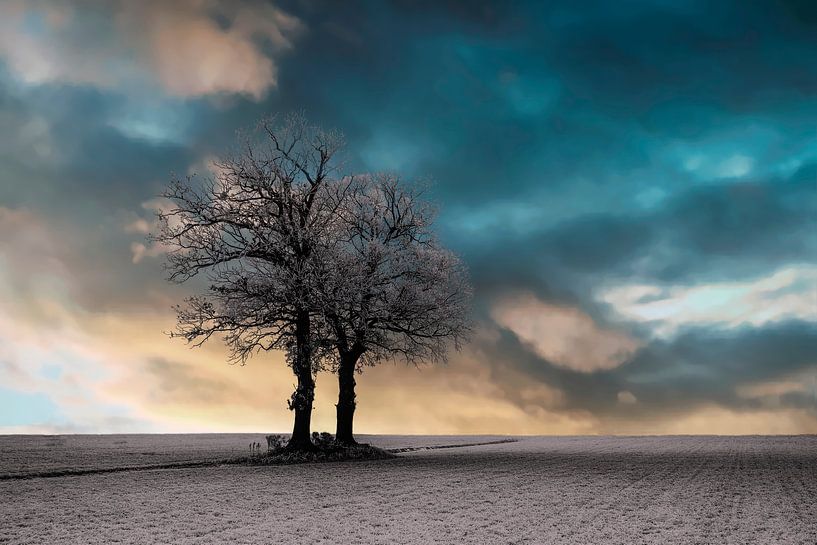 Sonnenaufgang in einer Winterlandschaft von Gert Hilbink