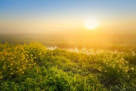 Sunrise over the Wieden on a beautiful misty spring morning. by Bas Meelker