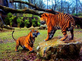 I dare you by Irene Bouman