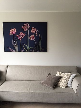 Garten der ausgedienten Remborandtulpen