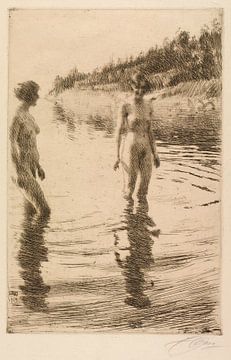 Anders Zorn - Shoal (1913) van Peter Balan