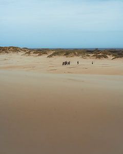 Rabjerg Meile X