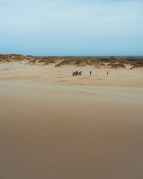 Rabjerg Mile X van de Utregter Fotografie