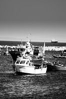 Returning from a day on the ocean