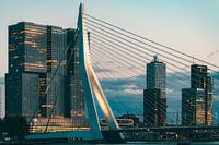 Kop Van Zuid, Rotterdam