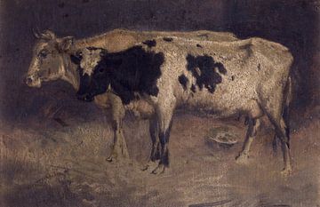 Kühe, André Plumot