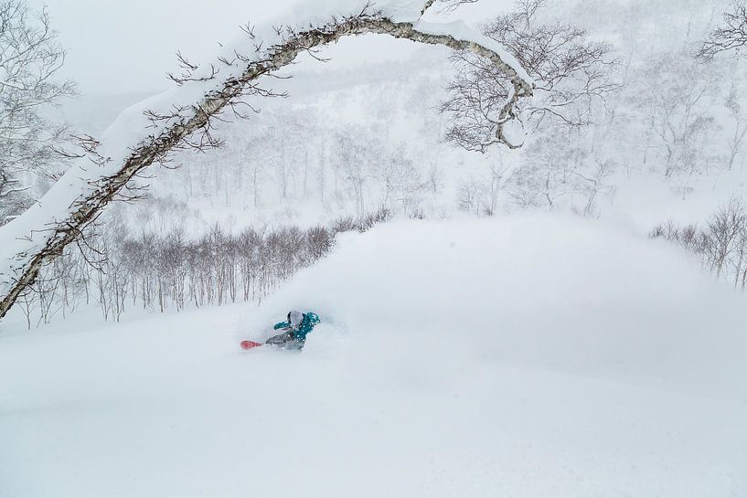 Jenny Jones, médaillée olympique à Hokkaido, Japon 2017 par Hidde Hageman