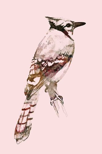 Blauwe Gaai | Roze Herfst editie, aquarel van MadameRuiz