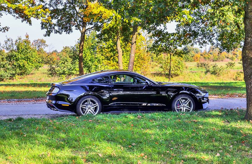 Black Ford Mustang Model 2018 in the sunshine by MPfoto71