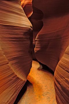 In Slot Canyon