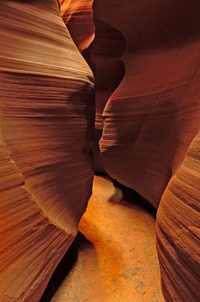 In Slot Canyon van Denis Feiner
