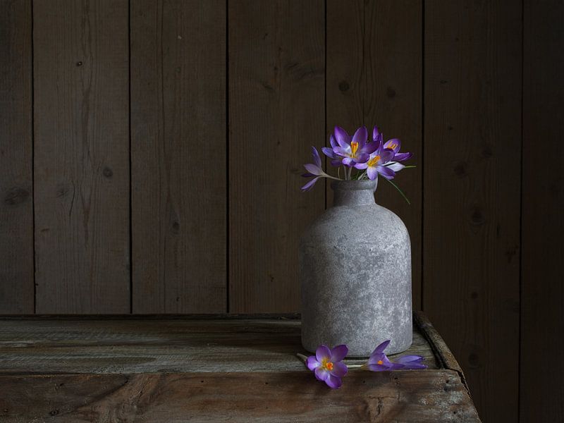 Still life of a vase with crocuses. by Evelien Brouwer