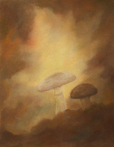 Mushrooms in an autumnal atmosphere by Jente Bergman