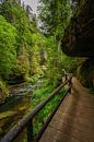 Wandeling door de Kamenice Kloof van Leon Okkenburg thumbnail