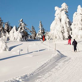 Langläufer auf der Loipe bei Lillehammer Norwegen von Rob Kints