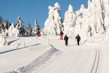 Langlaufers op de loipe nabij Lillehammer Noorwegen van Rob Kints