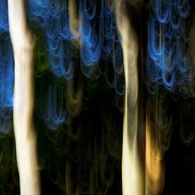 NATURPARK SAAR-HUNSRÜCK ICM - blue hair von Bernd Hoyen