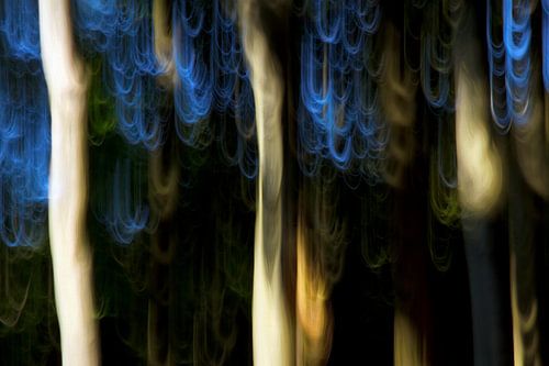 NATUURPARK SAAR-HUNSRÜCK ICM - blue hair