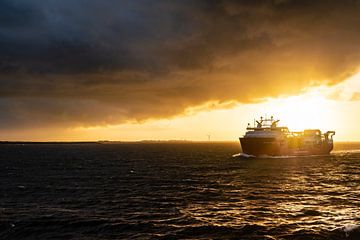 Norwegen Borkum von Ronnie Schuringa