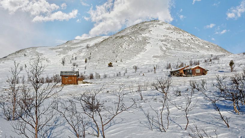 Norwegen, Rondane von Michael Schreier