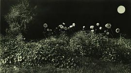 Feëriek Hollands landschap in de nacht van Franka Poulain