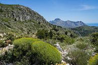 Grüne Berglandschaft nahe der Mittelmeerküste von Adriana Mueller Miniaturansicht