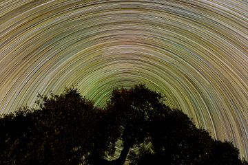 star trails van de melkweg in november met boom. van Hans Hut